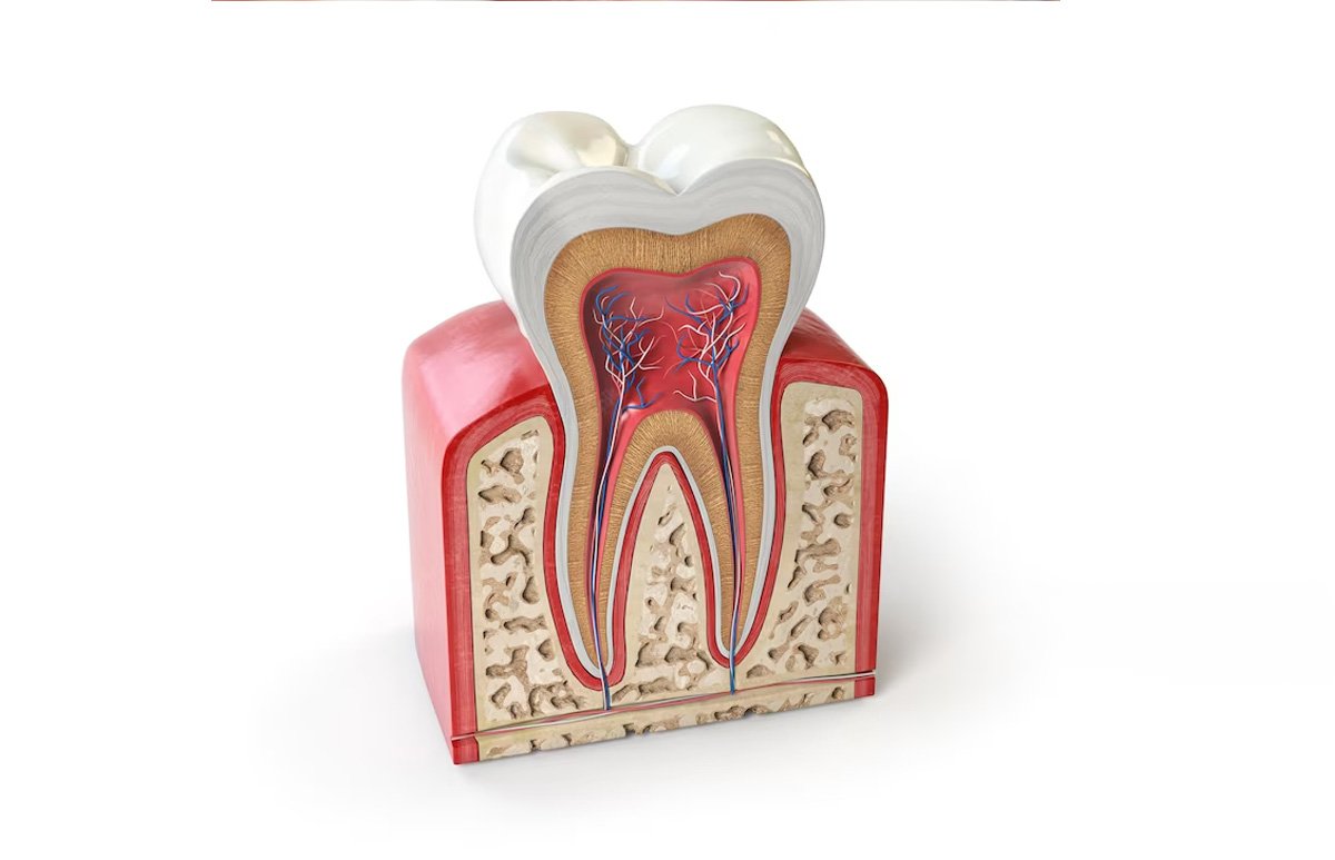 Everything you wanted to learn about root canal treatment